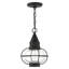 Lanterne suspendue d'extérieur 1 lumière H 9,75 po Rodolfo-1222937408
