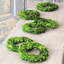 Preserved Boxwood 6" Greenery Wreath
