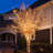 String Lights