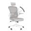 Ergonomic Mesh Office Chair with Adjustable Headrest, Swivel Desk Chair with Flip-Up Arms-524100956