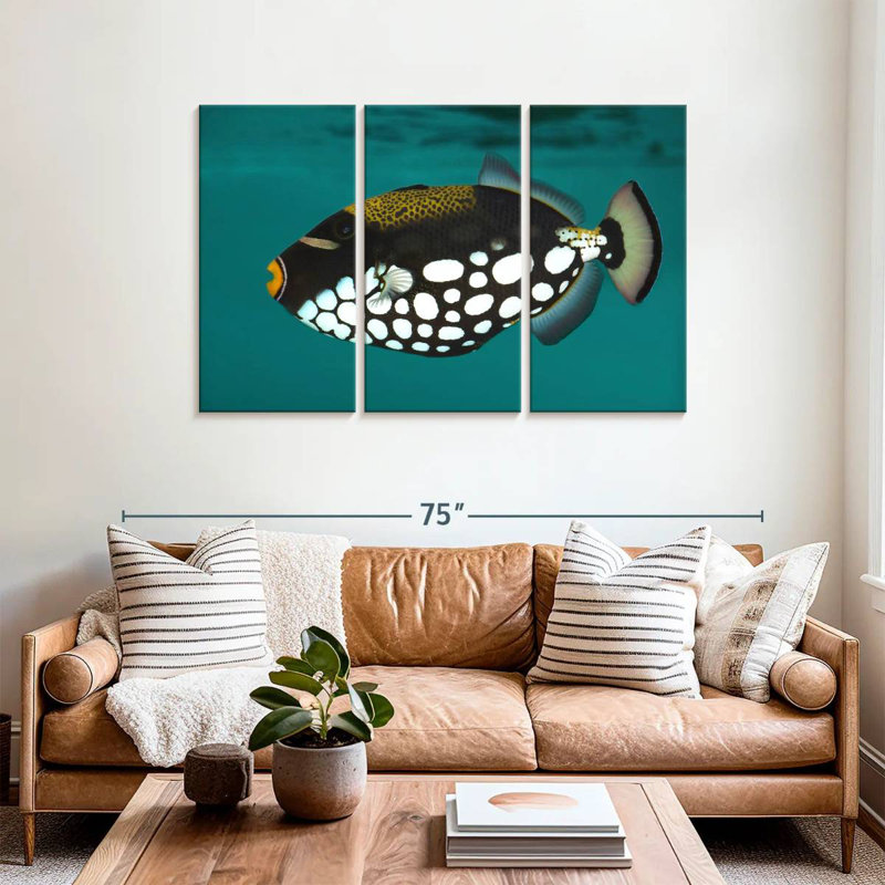 Brampt Clown Triggerfish Pet, H 36 po x l 57 po