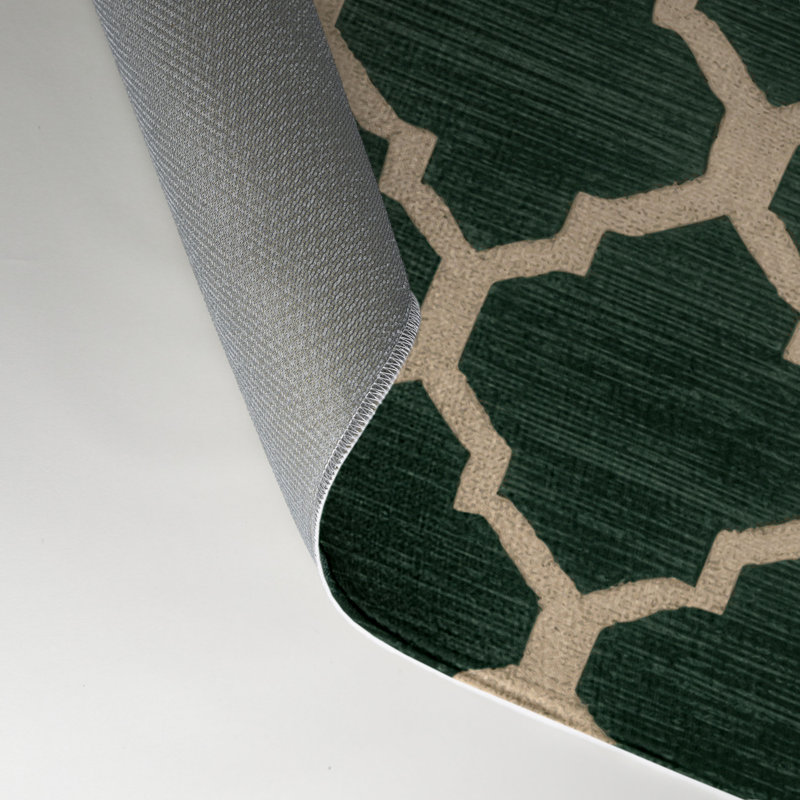 Trellis Green Indoor and Outdoor Area Rug, Rectangle 5' x 7'
