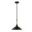 Chiyoda 1 - Light Natural Black Cone Pendant