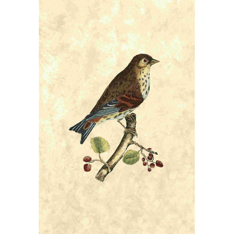 Selby Birds III 2855412, H 18 po x l 12 po