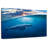 Brampt Blue Ocean Whale-107688012