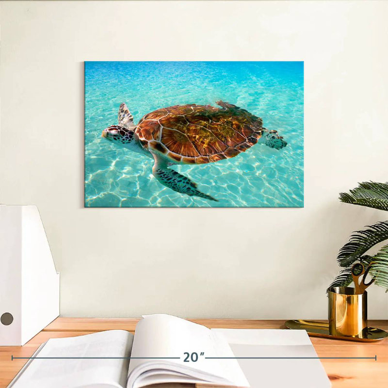 Brampt Cancun Beach Turtle, 8'' H X 12'' W