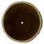 CREST PLANT, NEIGE-1178832788-1178832785
