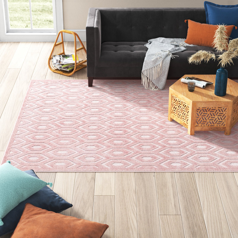 Tapis intérieur / extérieur rose Hearon, Rectangle 6 pi x 9 pi