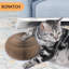 Plywood Elevated Pet Bed