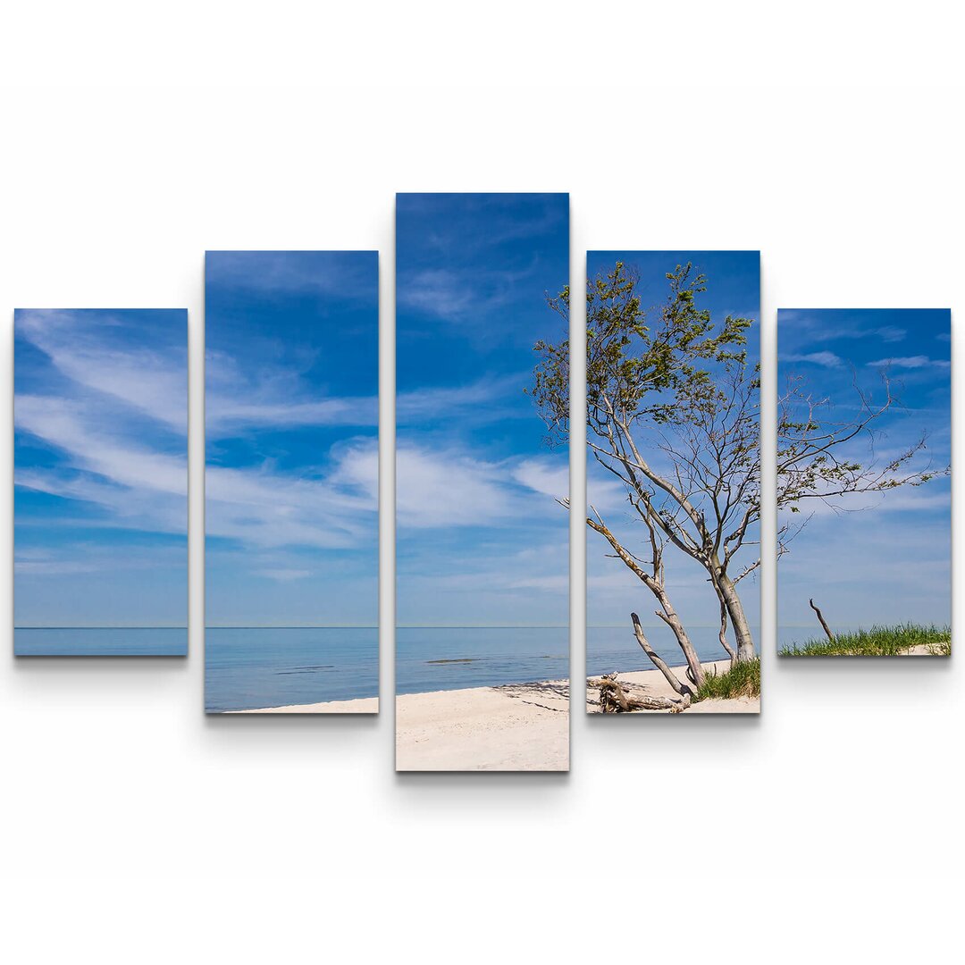 5-tlg. Leinwandbilder-Set Baum am Strand - Ostsee