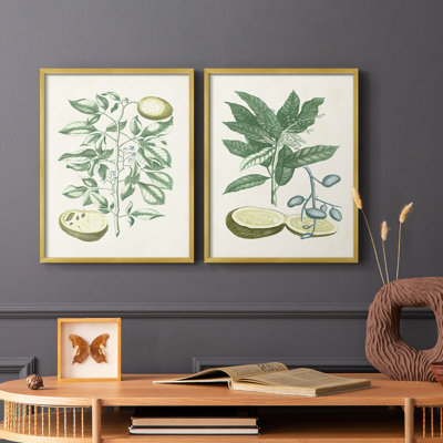 Buchoz Tropicals III-Premium Framed Print -Ready to Hang - No Nails Required - No Nails Required