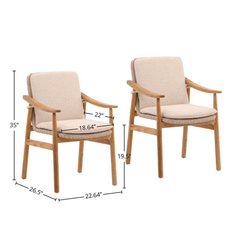 Wembley Olefin Fabric Outdoor Dining Chair, Beige (Set of 2)