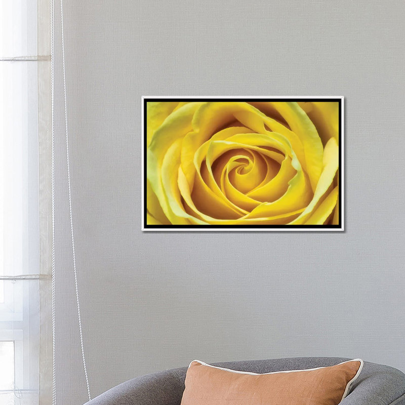 Jaune rose par Glauco Meneghelli-impression, Pas de tapis, H 18 po x l 26 po x P 1,5 po, Toile blanche encadrée