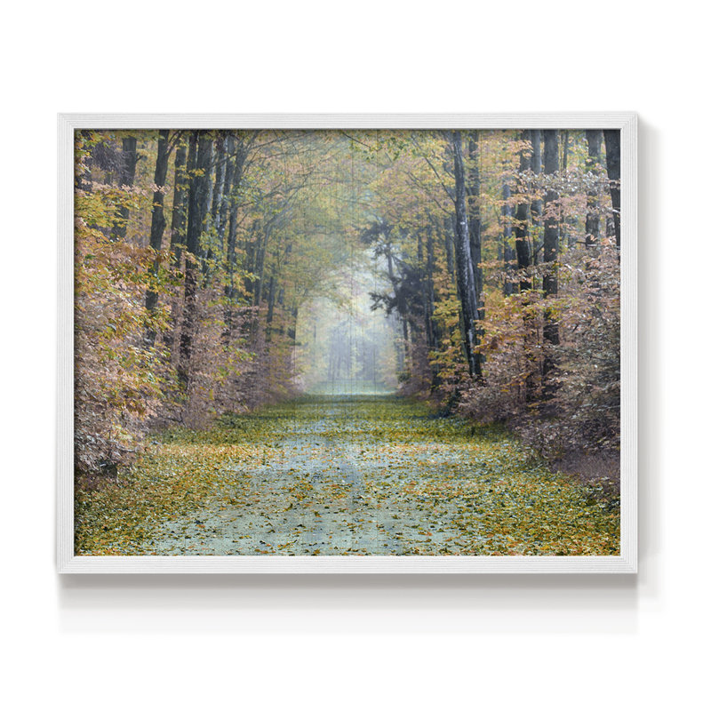 Sentier enchanté - reproduction encadrée - réaménageable, H 11 po x l 14 po, Blanc