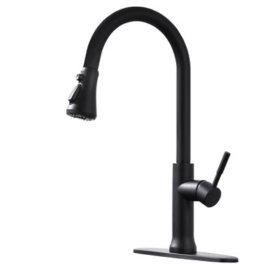 GAWEZA Pull Down Kitchen Faucet