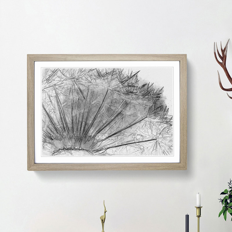 Dandelion Seed Sketch in Abstract - Picture Frame Graphic Art Print, Oak Framed, 36cm H x 48cm W x 2cm D