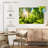 " Forest Sunshine "-900367252