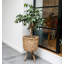 Plant Stand
