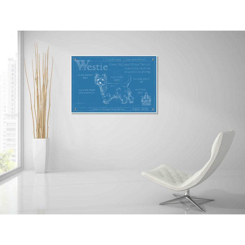 «Blueprint Westie» par Ethan Harper, art mural en verre acrylique, H 24 po x l 36 po x P 0,12 po