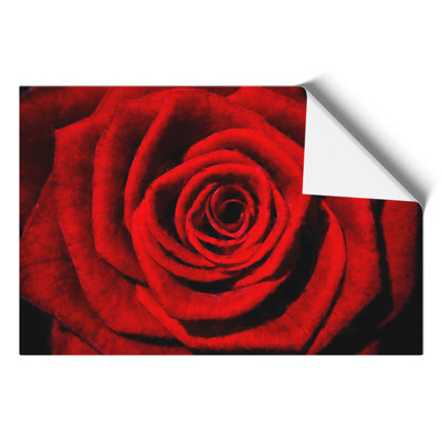 Red Rose Flower Painting - Frameless Print