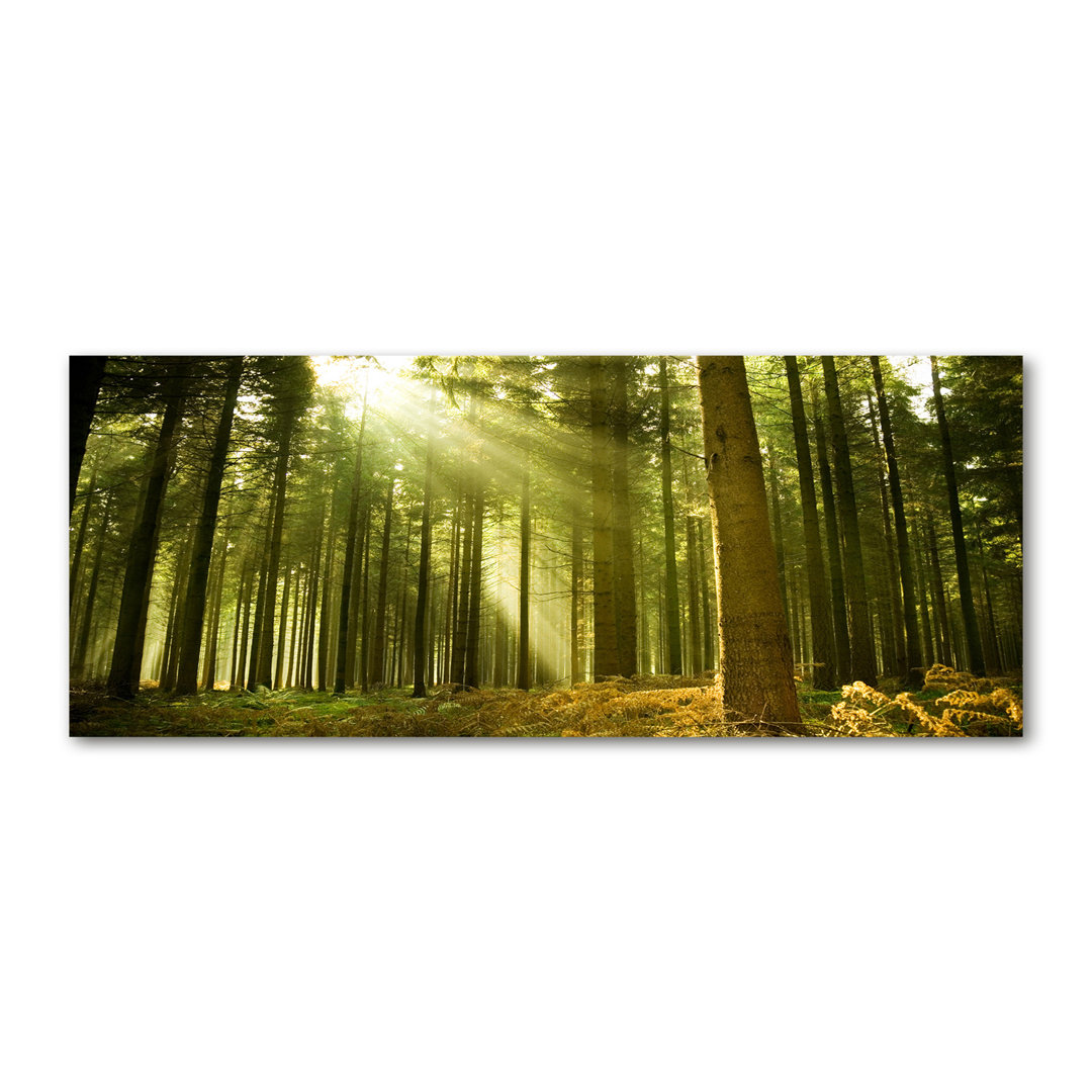 A Pine Forest - Kunstdrucke auf Leinwand - Wrapped Canvas