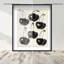Obscure Berries I Shadowbox Food & Beverages Print by Oliver Gal, Black Frame, 16 x 20-683380513-683380517