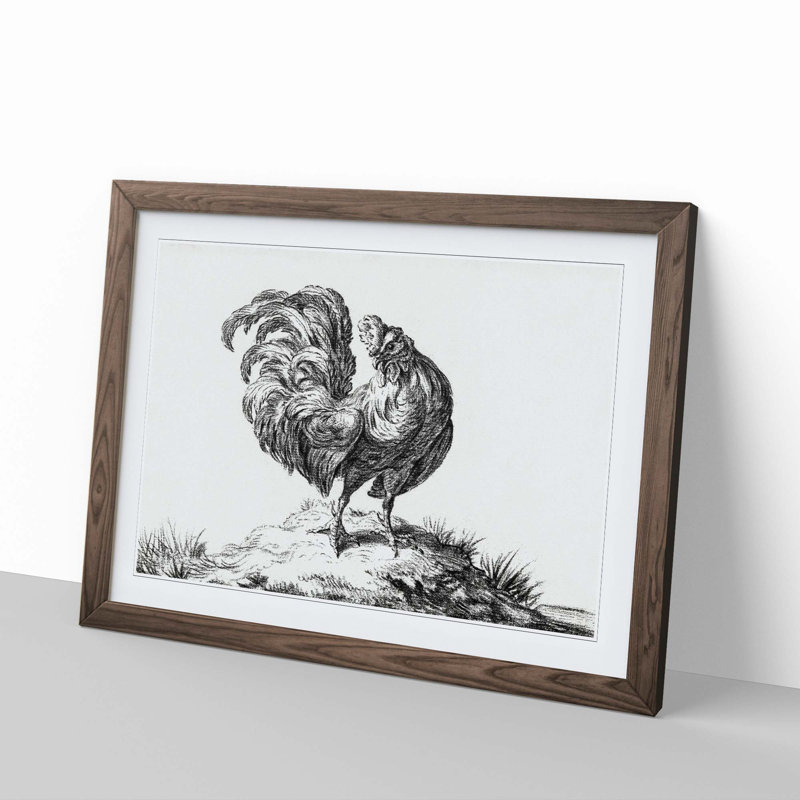 Sketch of a Rooster by Jean Bernard - Picture Frame Drawing Print, Walnut Framed, 27cm H x 36cm W x 2cm D