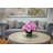 Peonies Arranged in Glass Vase with Grass-105897651-105897649
