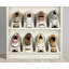 Joseph Joseph Range-chaussures compacte encombrante, 6 pièces