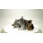 Grey Wolf Cubs Hiding Under Log Statue