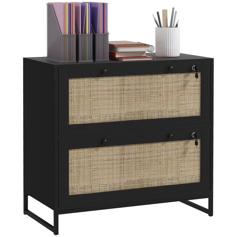 Amerigo 29.5'' Wide 2 -Drawer File Cabinet,wood, Black