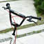 Freeport Park Scooter-2033927254-2033927255