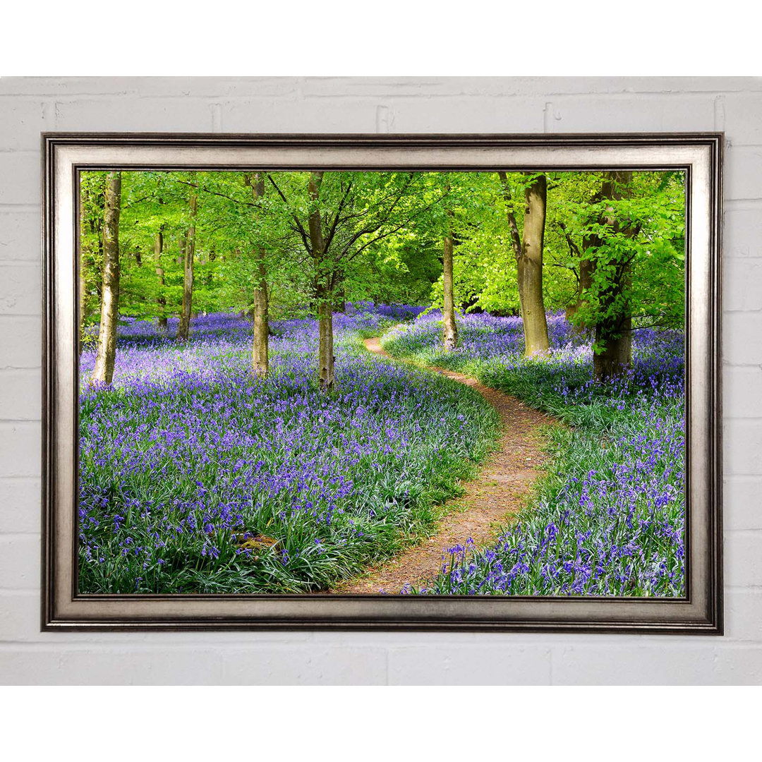 Spaziergang durch den Bluebell Path Gerahmter Druck