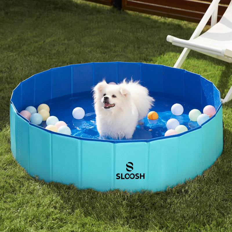 Piscine pliable pour chien Kiddie