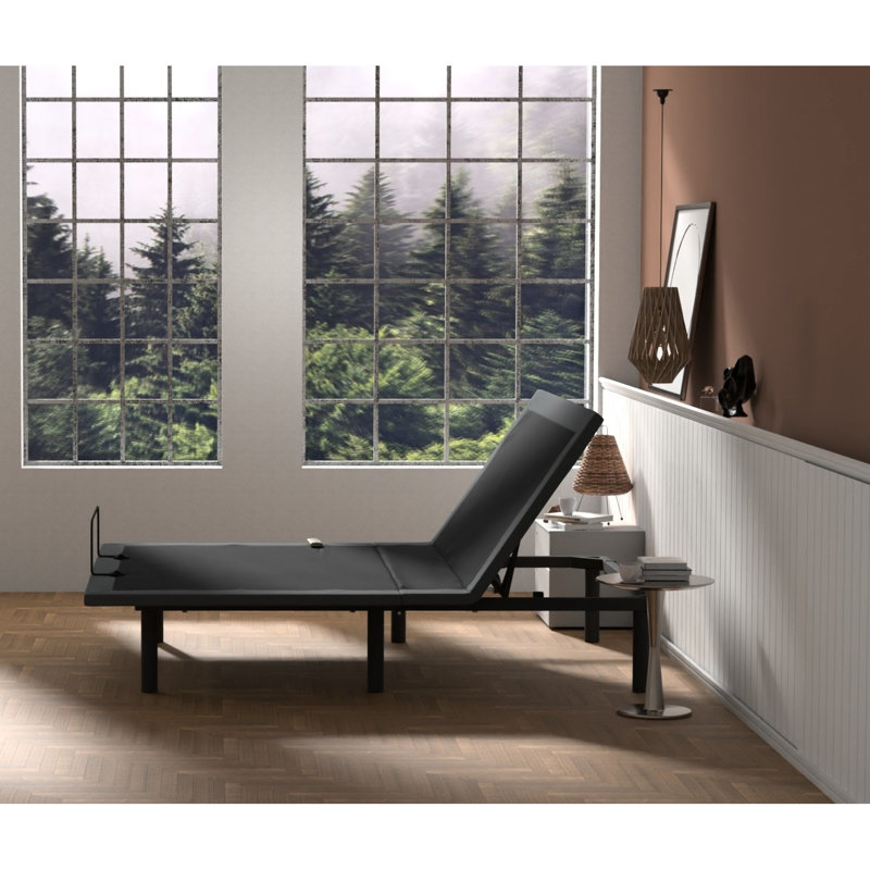 Queen Adjustable Bed Btx4 - Head And Foot Positioning, Wireless Control, 43 In. Width, Steel Frame Base Adjustable, 6000n Motors, Plywood Deck,