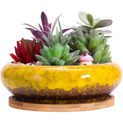 7.3 inch Round Succulent Planter Pots with Drainage Hole Bonsai Pots Garden Decorative Cactus Stand Ceramic Glazed Flower Container Blue, with Bamboo Tray