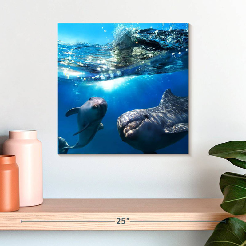 Brampt Playful Dolphins, 16" H x 16" W