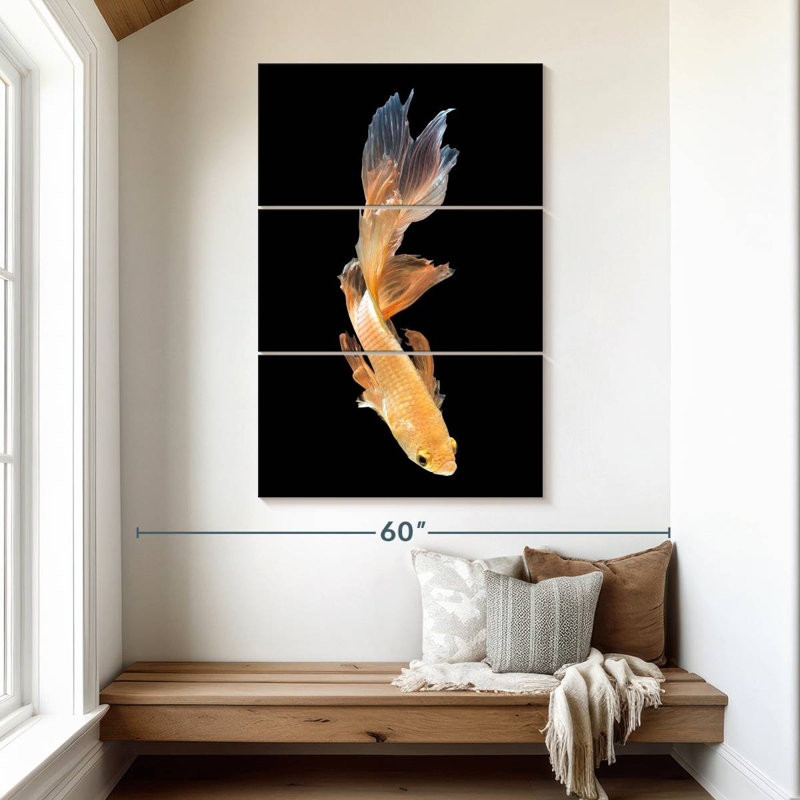 Brampt Betta Fish Dive, 50" H x 32" W