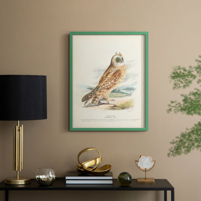 Hawk Owl Framed Print - Solid Wood