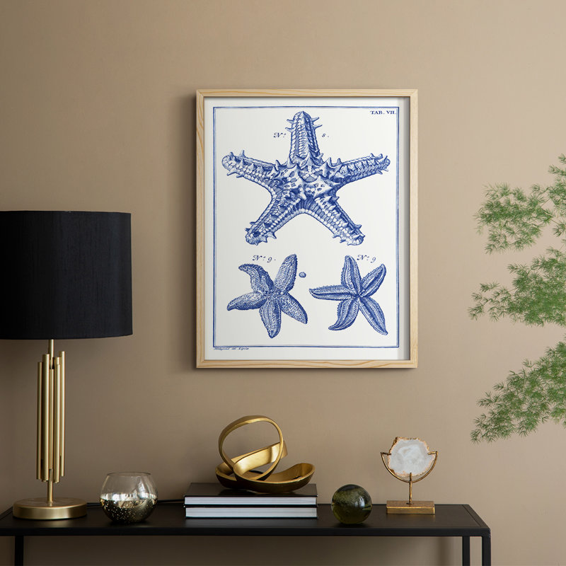 «Blue Sea Stars», reproduction encadrée en bois massif, H 11 po x l 9 po