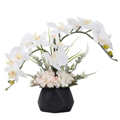 Roudy Arrangement