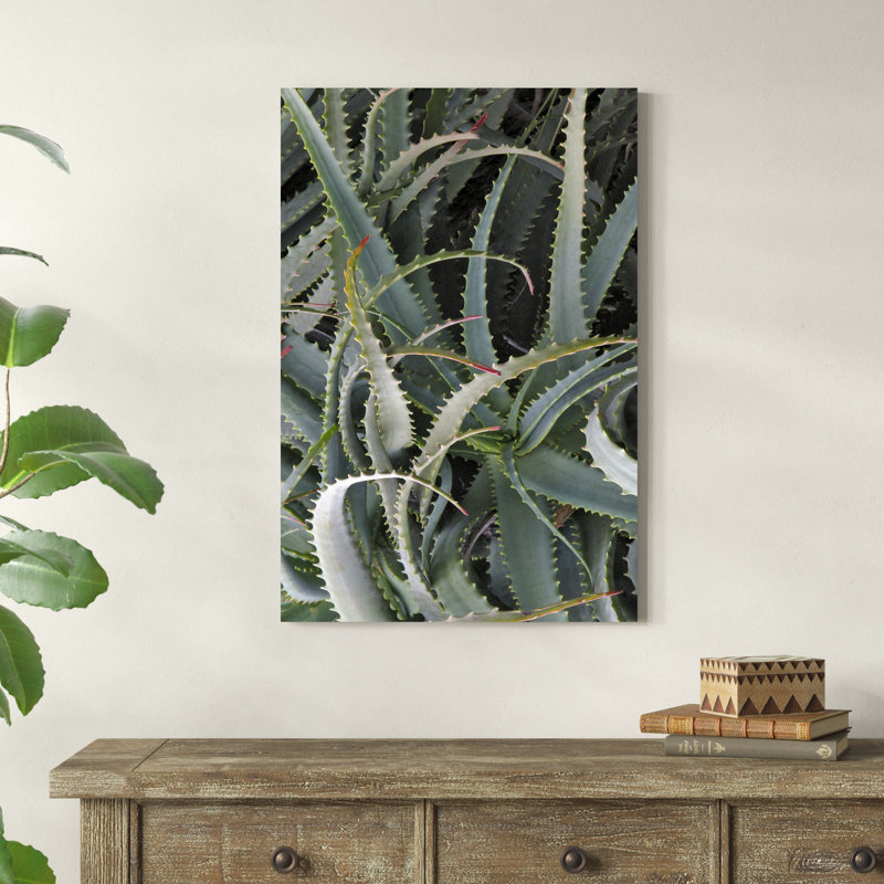 " Prickly Cactus ", 36" H x 24" W x 1.25" D
