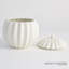 Spicchi Line Bowl W/Lid-Matte White-Lg-1754589973