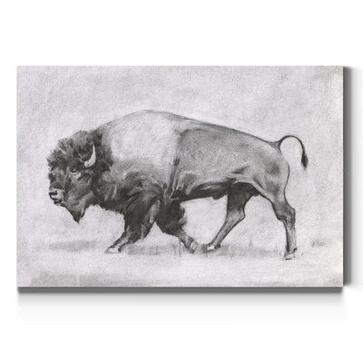 " Wild Bison Study II "