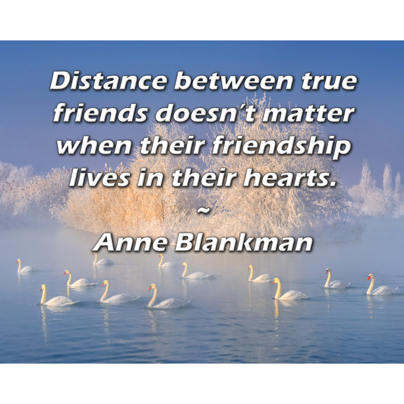 Toile tendue de la galerie ArtsyQuotes par Anne Blankman: «La distance entre les vrais amis n’importe pas lorsque leur amitié vit dans leur cœur».