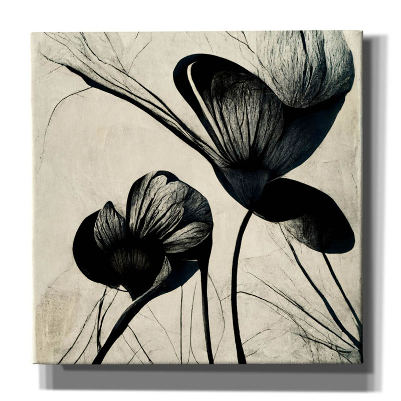 Winston Porter, «Flowers Black White 4» par Ray Heere, art mural sur toile, H 12 po x l 12 po x P 0,75 po