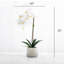 Artificial Orchid Plant-1709654827