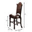 Chaise de comptoir (ensemble de 2)