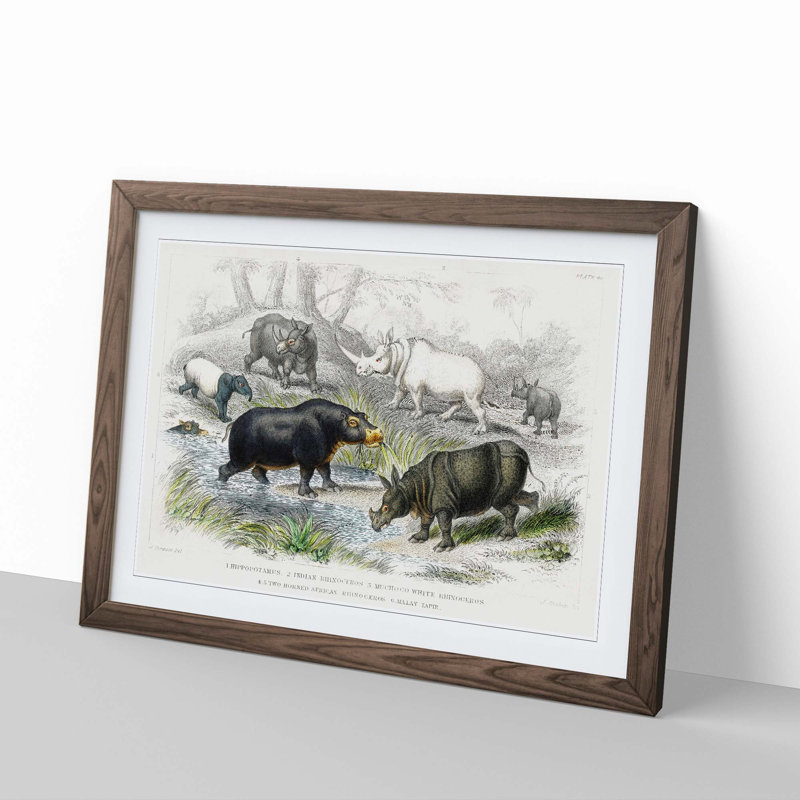Hippopotamus and Rhinoceros by Oliver Goldsmith - Picture Frame Painting Print, Walnut Framed, 48cm H x 65cm W x 2cm D