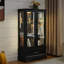 Vitrine vitrée 2 portes avec éclairage - Standard